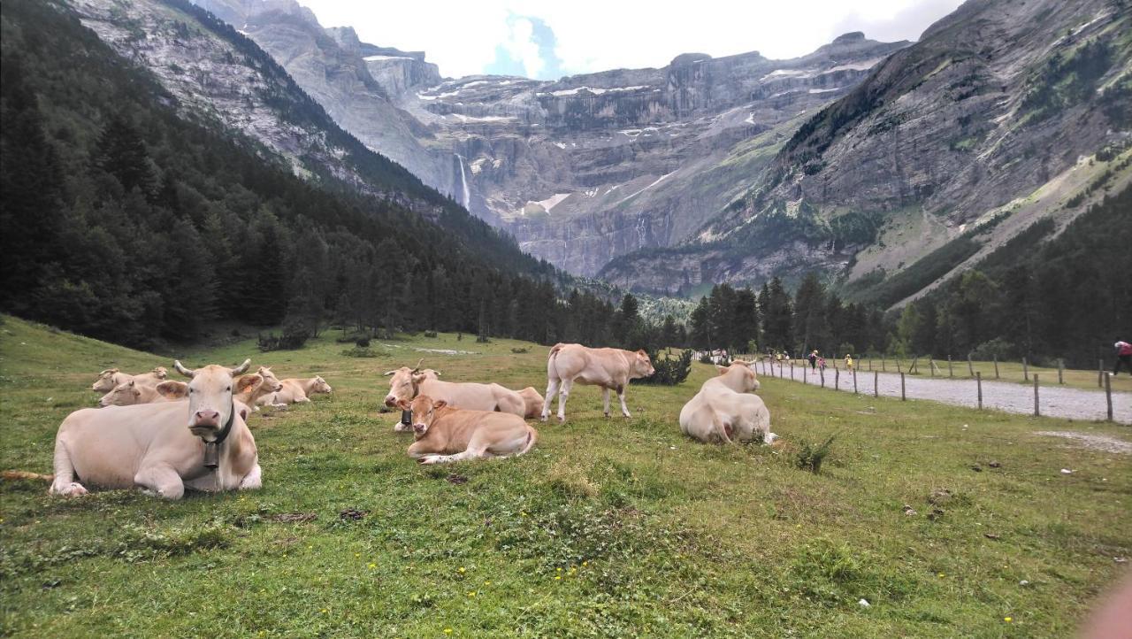 Studio En Pleine Montagne Avec Vue Sur Marmottes Ла-Монжи Экстерьер фото