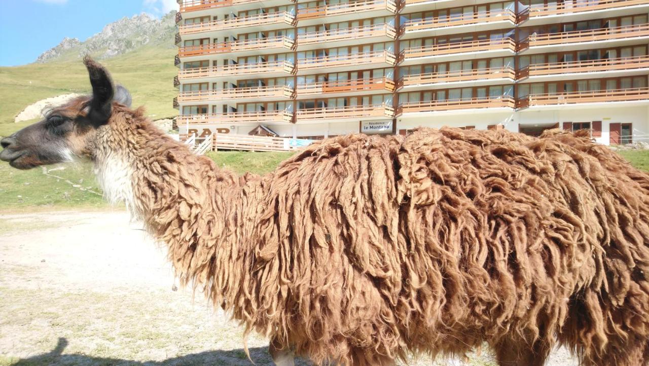 Studio En Pleine Montagne Avec Vue Sur Marmottes Ла-Монжи Экстерьер фото