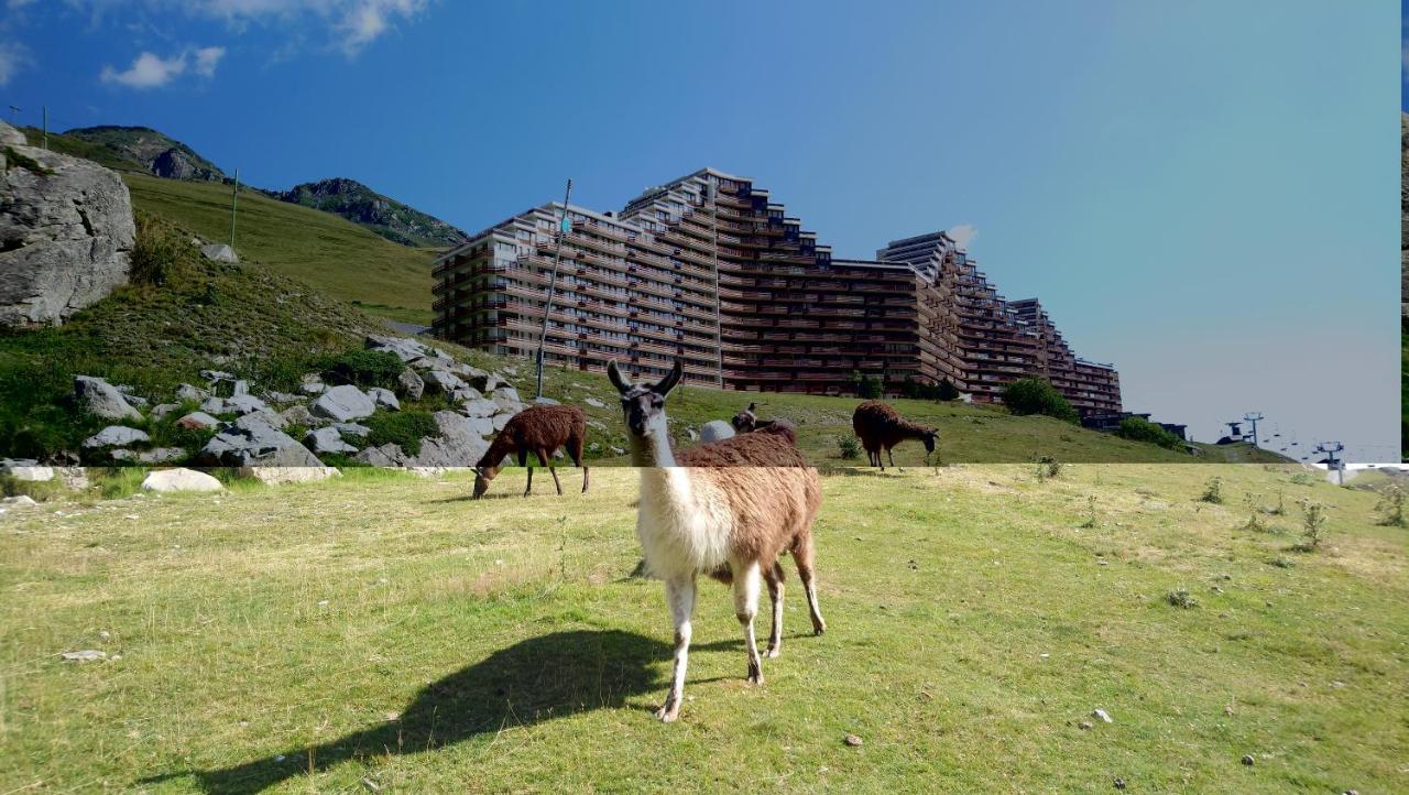 Studio En Pleine Montagne Avec Vue Sur Marmottes Ла-Монжи Экстерьер фото